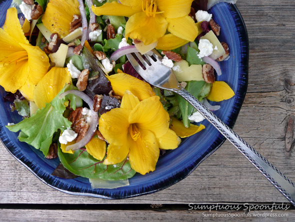 Stella de Oro Day Lily Salad wtih Cucumber, Pecans and 2 Cheeses