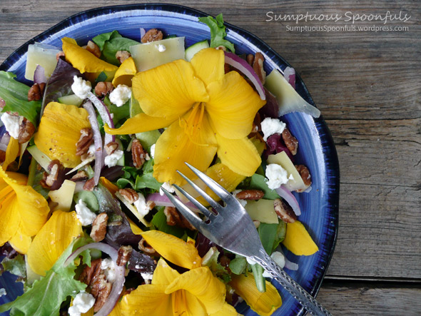 Stella de Oro Salad with Cucumber, Pecans, and Dubliner and Goat Cheese