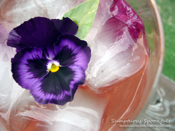 Very Berry Basil Wine Spritzer