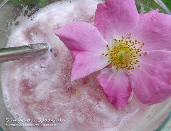 Watermelon Rosewater Slushie