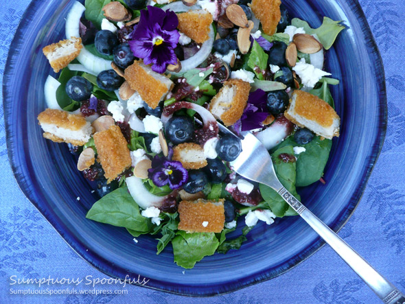 Blueberry Chicken Salad with Goat Cheese, Almonds & Cherry Malbec Vinaigrette