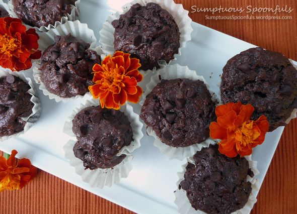 Chocolate Chia Brownie Bites