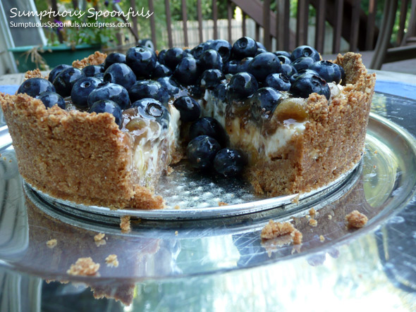 Lowfat Blueberry Gooseberry Ginger Yogurt Cheesecake