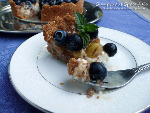 Lowfat Bluberry Gooseberry Ginger Yogurt Cheesecake