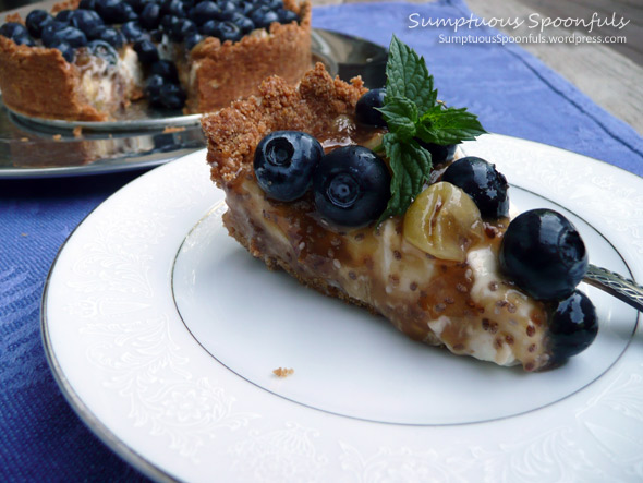 Lowfat Blueberry Gooseberry Ginger Yogurt Cheesecake