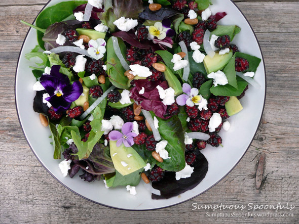 Mulberry, Goat Cheese & Avocado Salad with Pinons & Goat Cheese