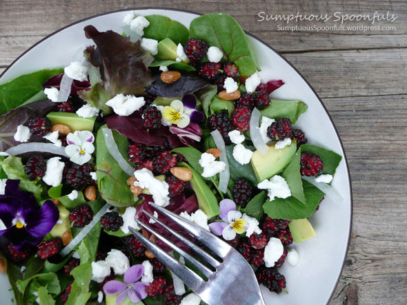 Mulberry, Goat Cheese & Avocado Salad on Mixed Greens with Pine Nuts & a Ginger Grapefruit Vinaigrette