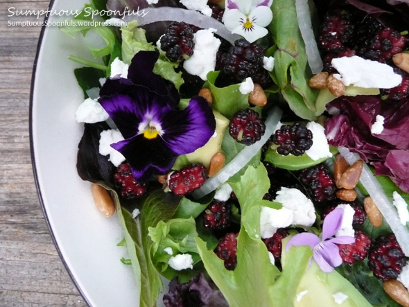 Mulberry, Goat Cheese & Avocado Salad on Mixed Greens with Pine Nuts & a Ginger Grapefruit Vinaigrette