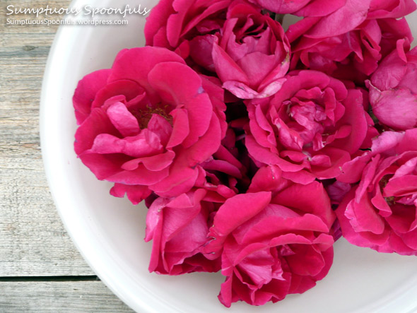 Roses for Rose Petal Vodka