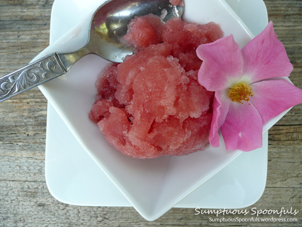 Watermelon Basil Rose Sorbet