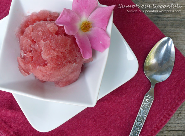 Watermelon Basil Rose Sorbet