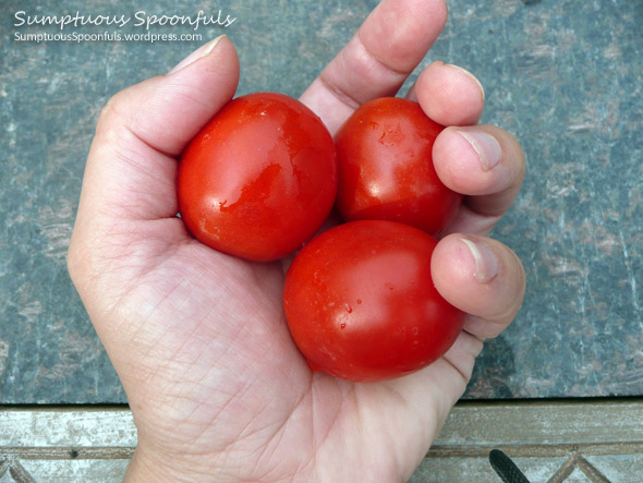Mini Tomatoes