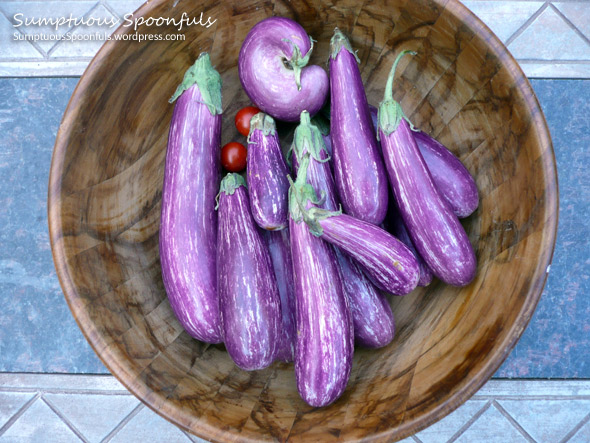 Purple eggplant for the Tomato Eggplant Ricotta Tart