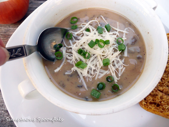 Caramelized Onion Mushroom Gouda Soup