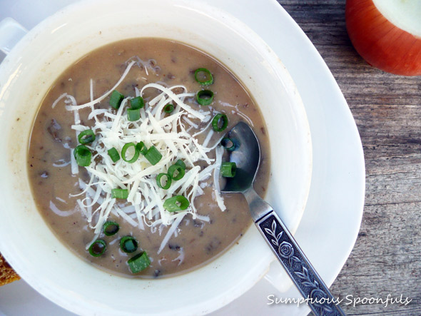 Caramelized Onion Mushroom Gouda Soup