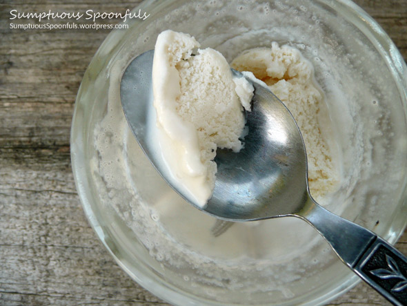 Dad's Fresh & Simple Vanilla Ice Cream