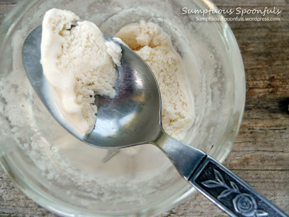 Dad's Fresh & Simple Vanilla Ice Cream