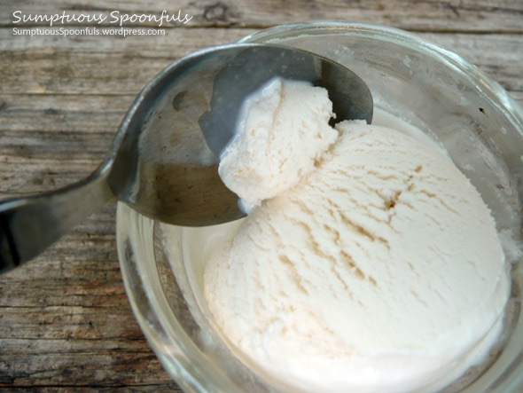 Dad's Fresh & Simple Vanilla Ice Cream