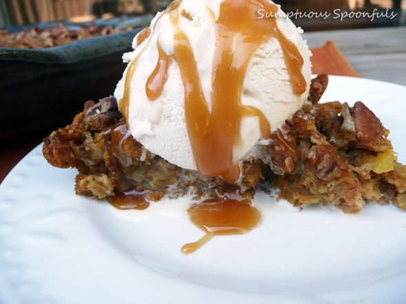 Pumpkin Apricot Oatmeal Pie