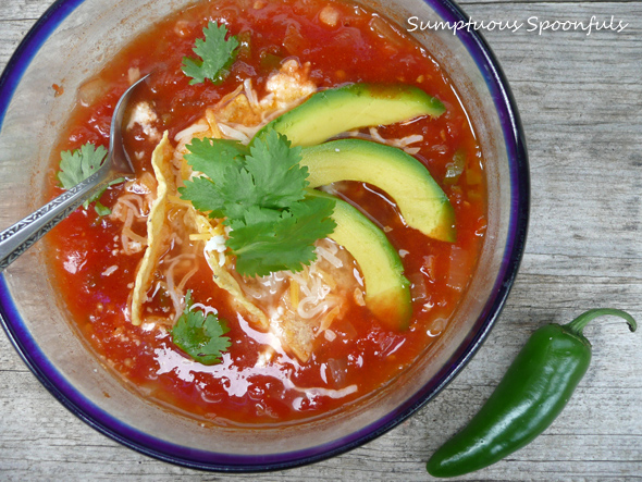 Simply Spicy Tortilla Soup