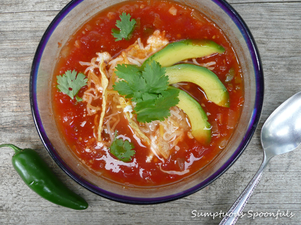 Simply Spicy Tortilla Soup