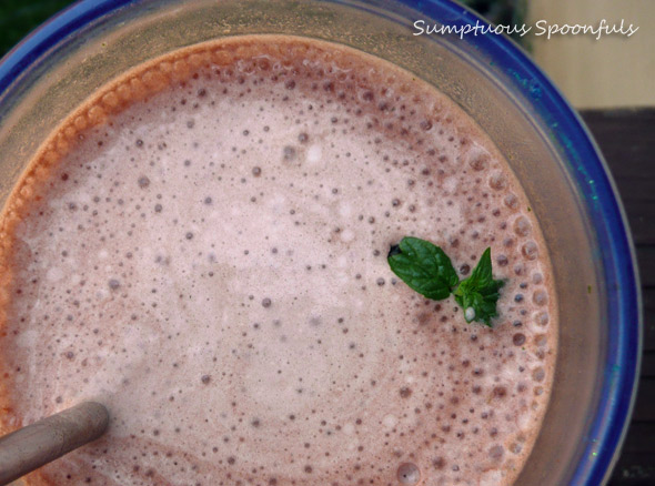 Skinny Peppermint Mocha Slushie 