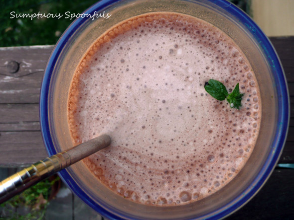 Skinny Peppermint Mocha Slushie