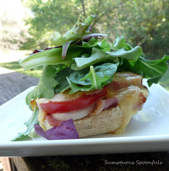 Sweet Onion Melted Gouda Bacon Lettuce & Tomato Sandwich (Soo OMG BLT)