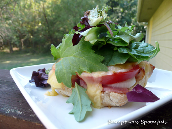 Sweet Onion Melted Gouda Bacon Lettuce & Tomato Sandwich (SOMG BLT!)