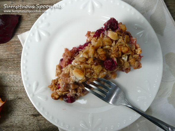 Apple Cranberry White Chocolate Oat Crumble