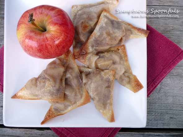 Apple Pie Wontons {Baked ~ Low Sugar}