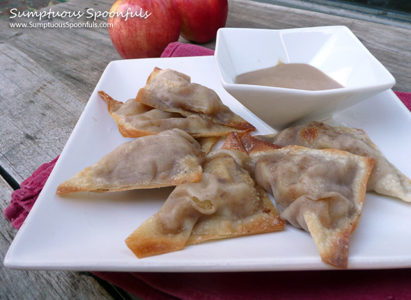 Apple Pie Wontons {Baked ~ Low Sugar}