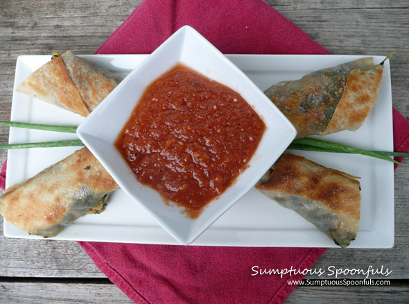 Baked Southwestern Egg Rolls