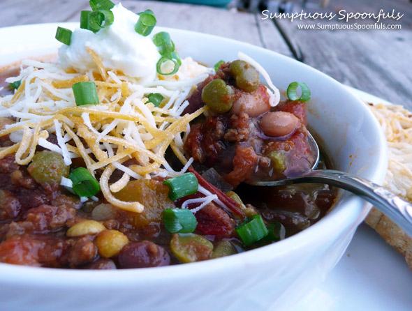 Fire Roasted 7 Bean Crockpot Chili Sumptuous Spoonfuls