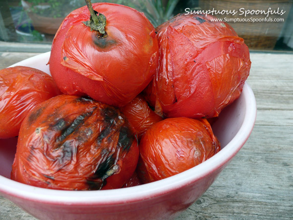 Fire Roasted Tomatoes