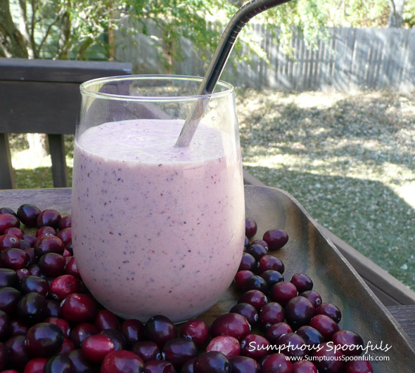 Pumpkin Maple Cranberry Protein Smoothie