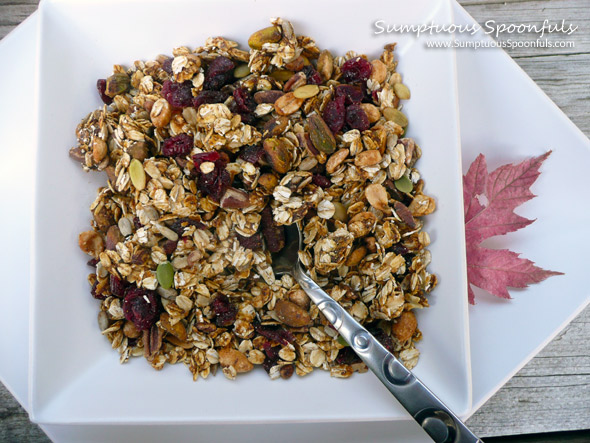 Maple Spice Pumpkin Granola ~ www.SumptuousSpoonfuls.com