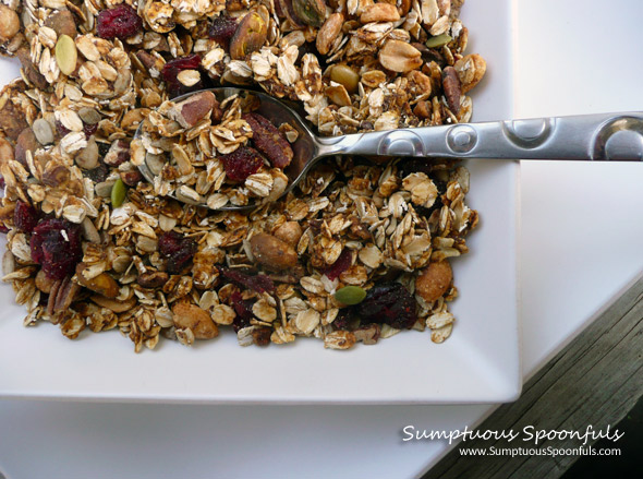 Maple Spice Pumpkin Cranberry Granola ~ www.SumptuousSpoonfuls.com