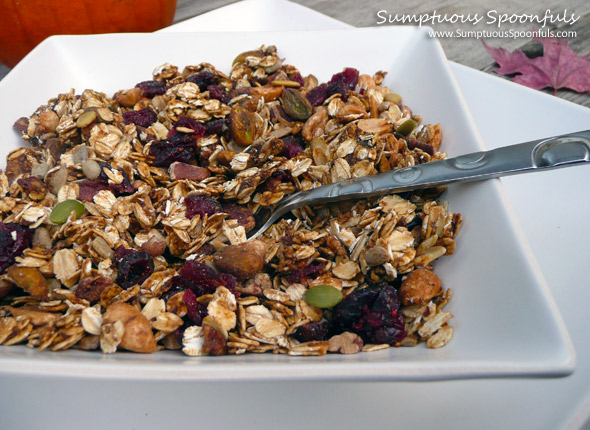 Maple Spice Pumpkin Granola ~ www.SumptuousSpoonfuls.com