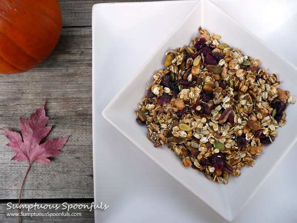 Maple Spice Pumpkin Granola ~ www.SumptuousSpoonfuls.com