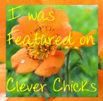 featured on Clever Chicks