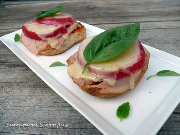 Smoked Turkey Tomato White Cheddar Melt