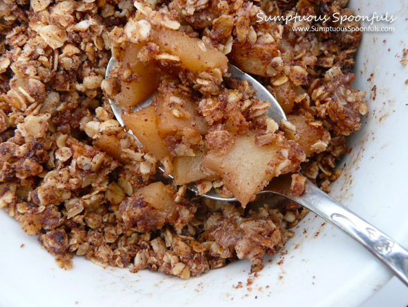 Apple Crisp for One ~ Low Sugar