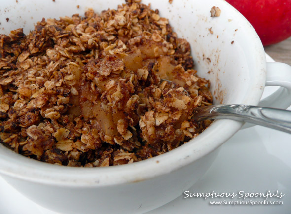 Apple Crisp for One {Low Sugar}