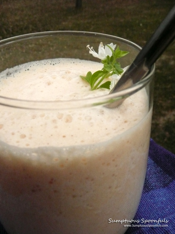 Cantaloupe Maple Mango Smoothie