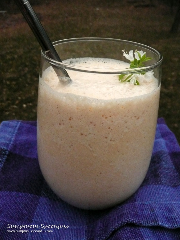 Cantaloupe Maple Mango Smoothie