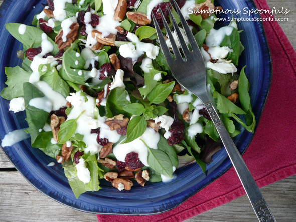 Cranberry Pecan Salad with Goat Cheese Crumbles ~ SumptuousSpoonfuls.com