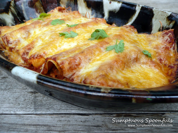 Smoky Red Shredded Chicken Enchiladas