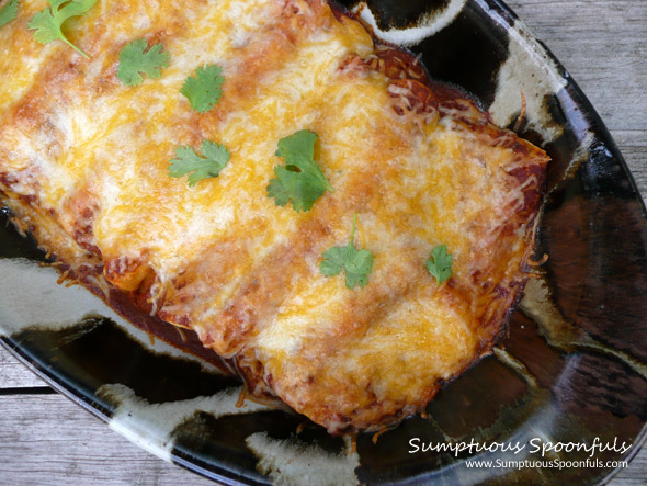 Smoky Red Shredded Chicken Enchiladas