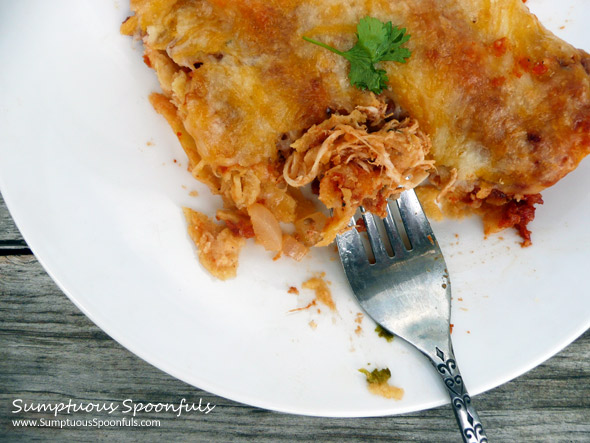 Smoky Red Shredded Chicken Enchiladas